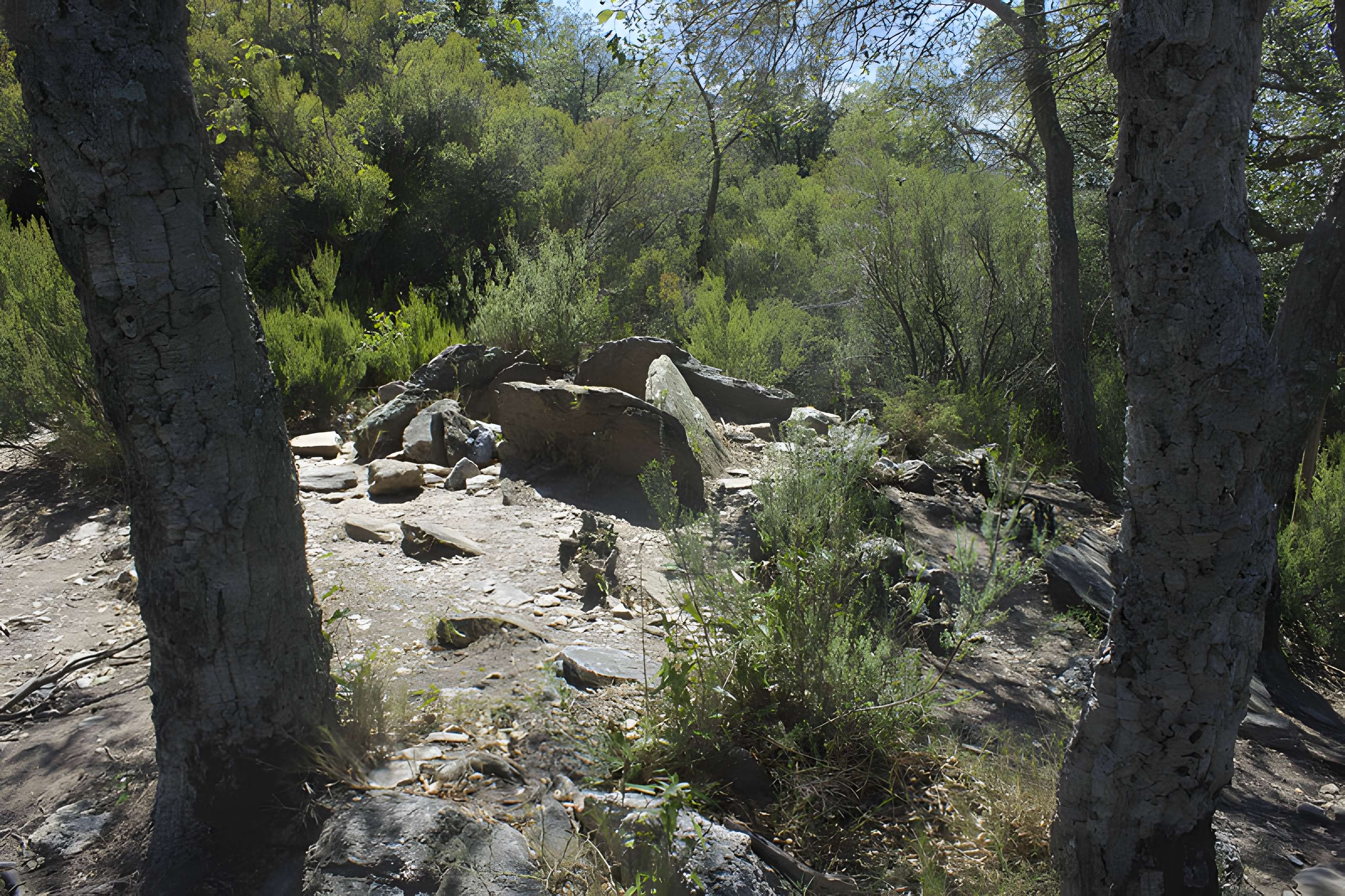 Dolmen des Collets de Cotlliure à Argelès-sur-Mer