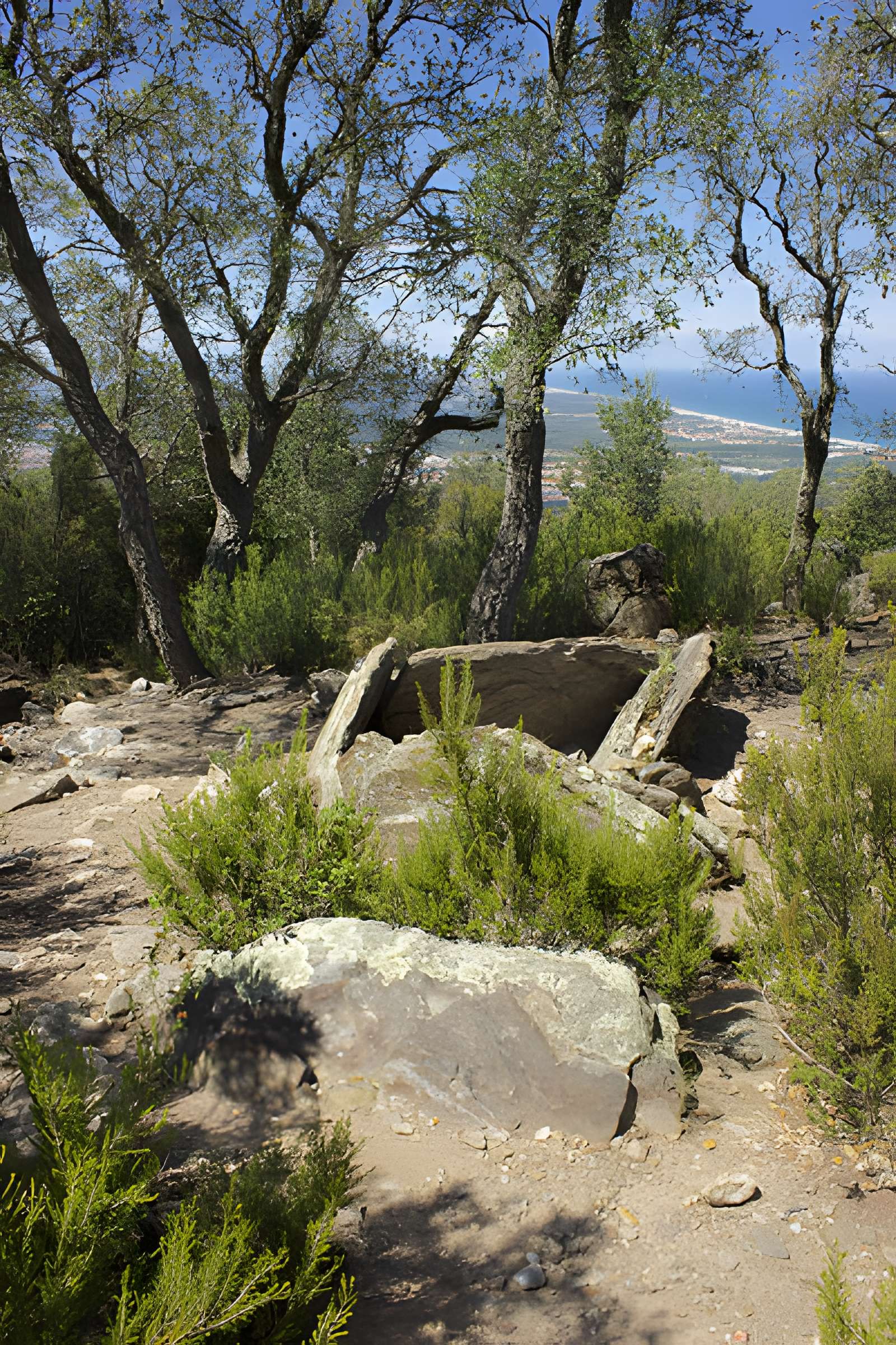 Dolmen des Collets de Cotlliure à Argelès-sur-Mer