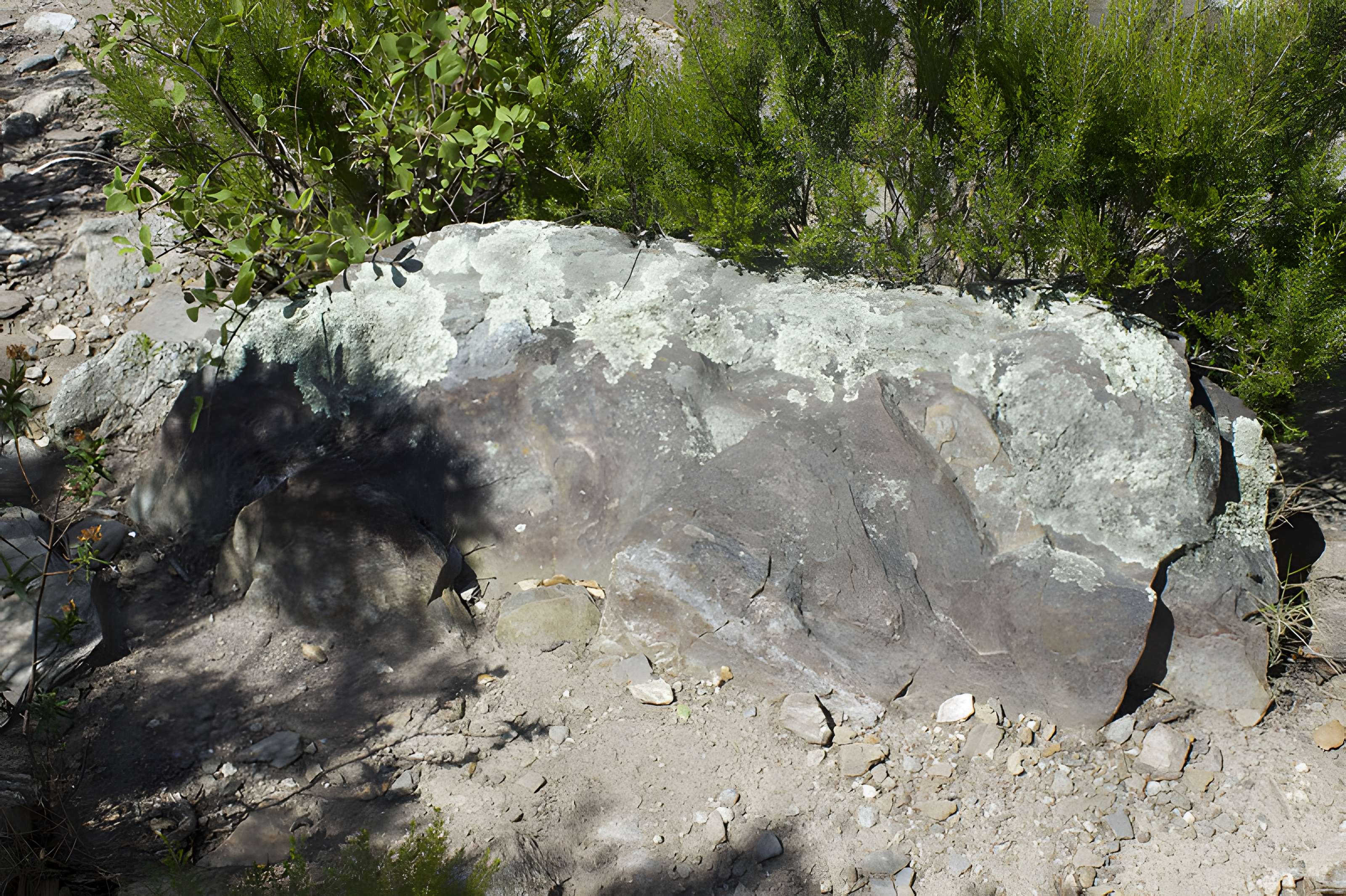 Dolmen des Collets de Cotlliure à Argelès-sur-Mer