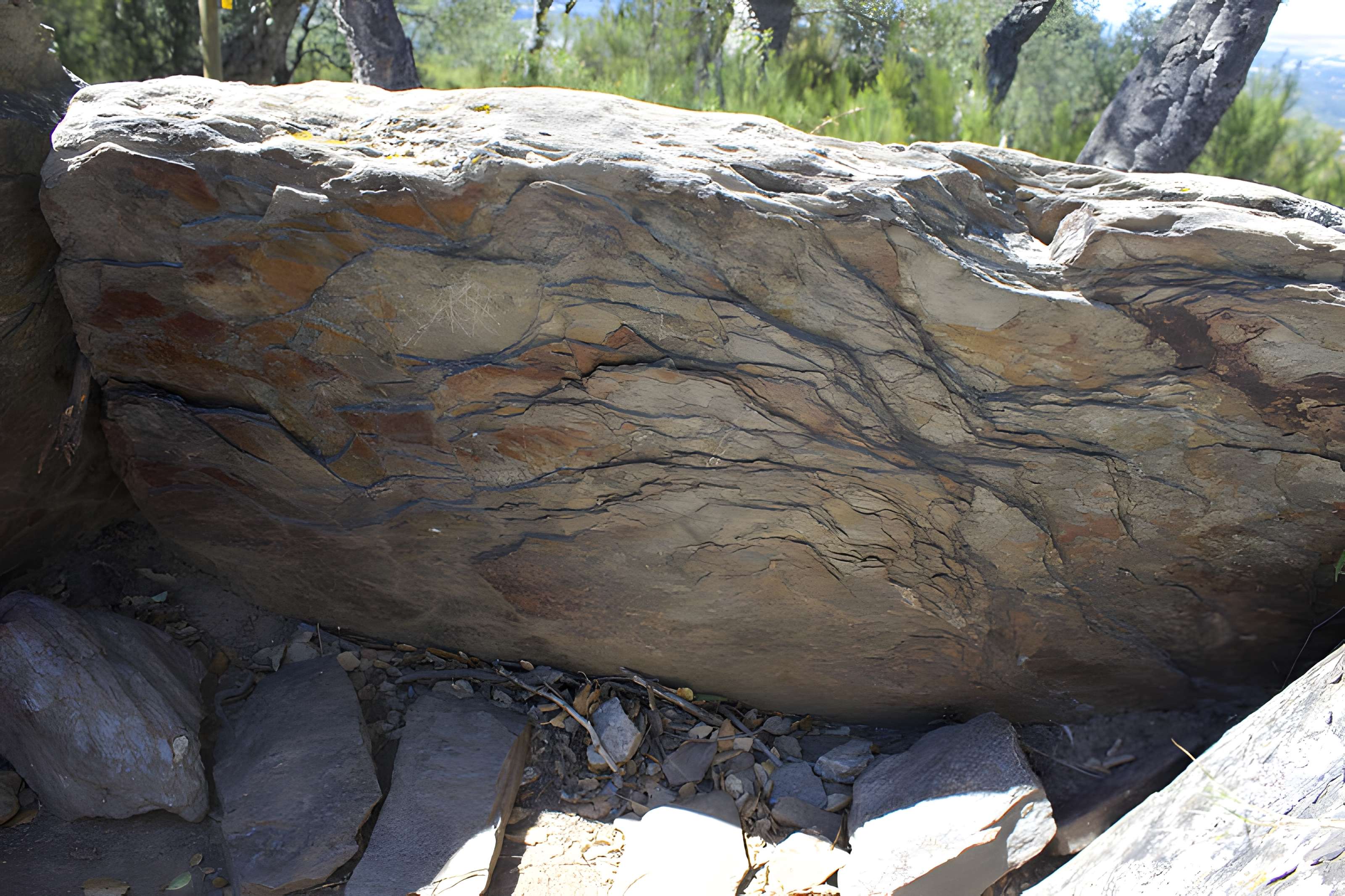 Dolmen des Collets de Cotlliure à Argelès-sur-Mer