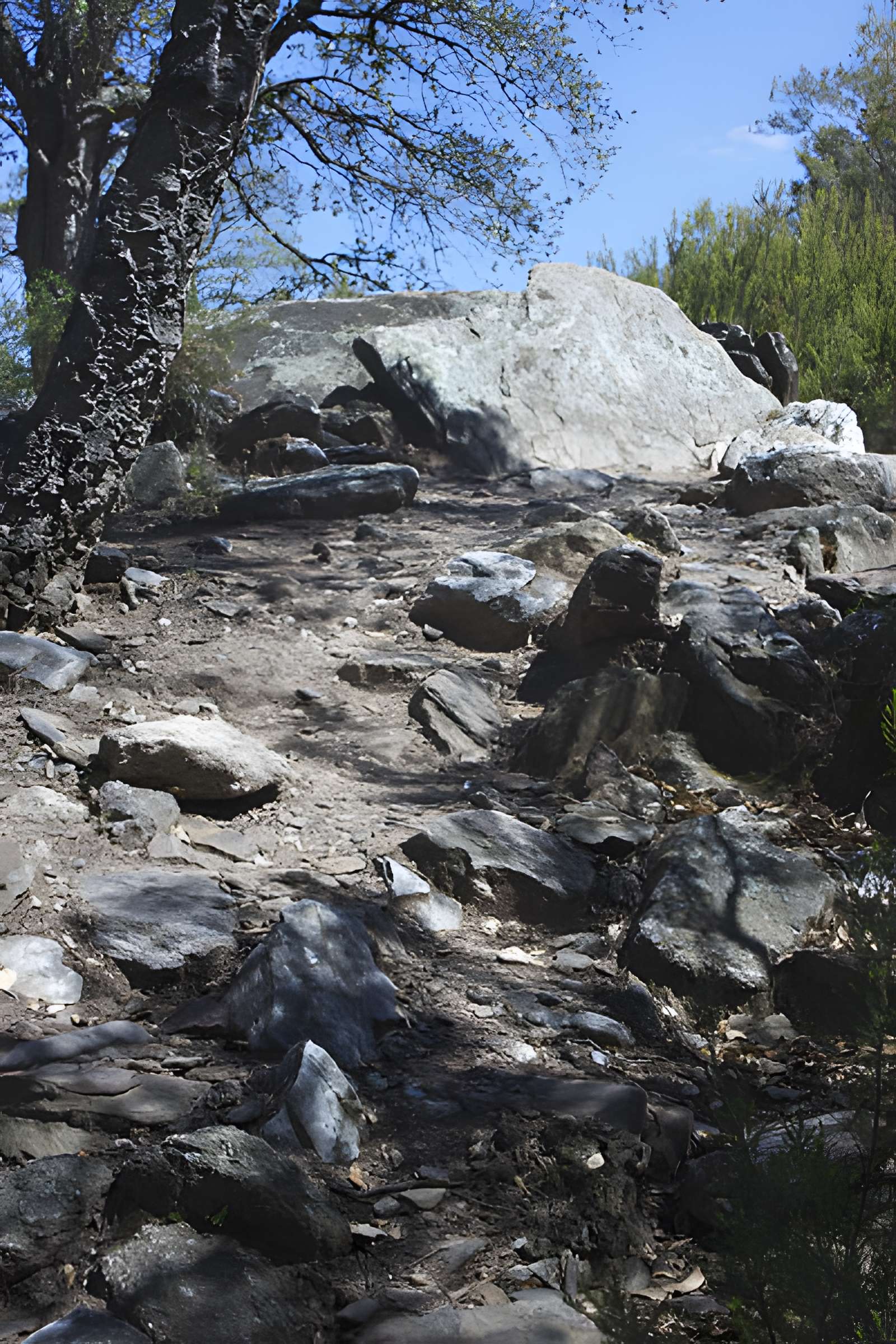 Dolmen des Collets de Cotlliure à Argelès-sur-Mer