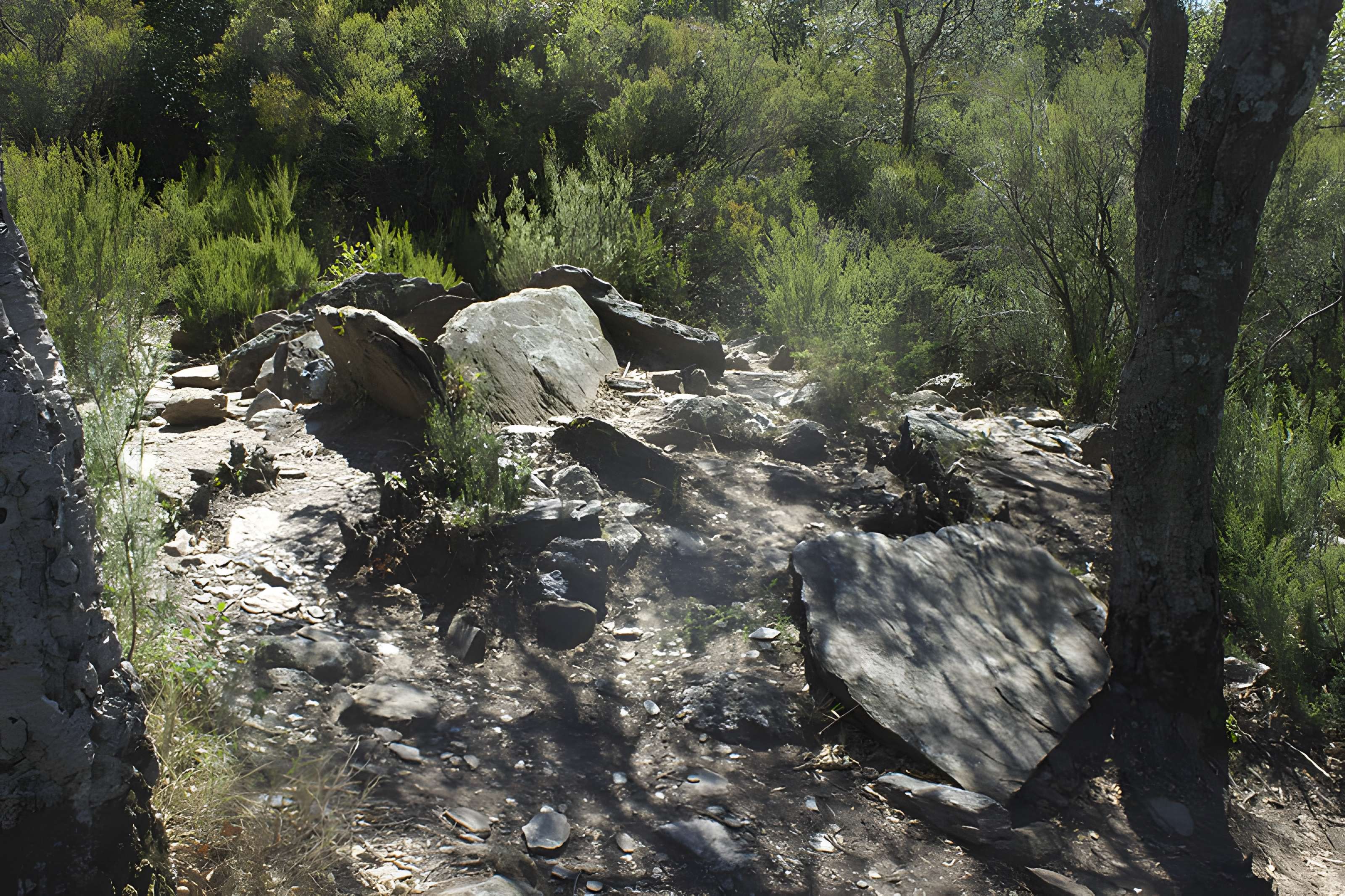 Dolmen des Collets de Cotlliure à Argelès-sur-Mer