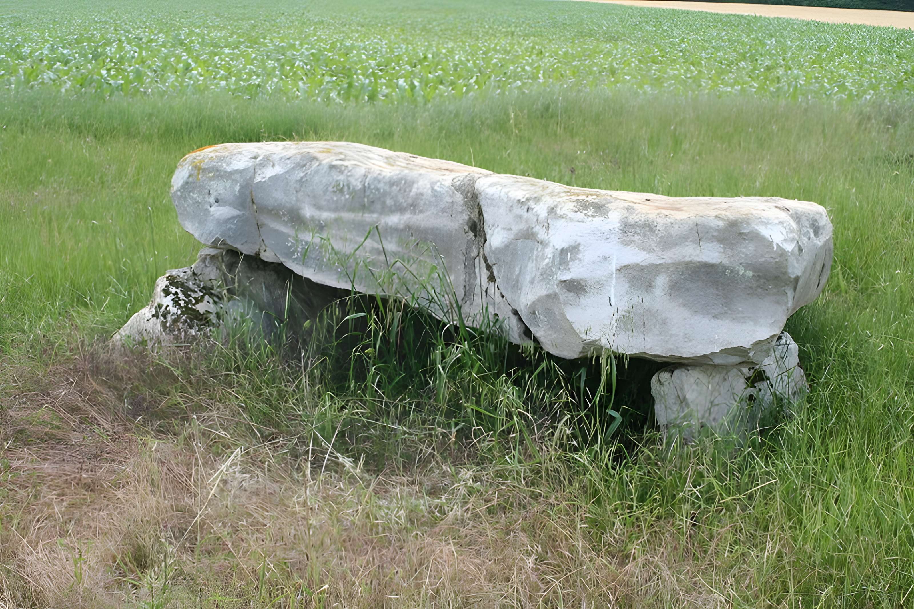 Dolmen des Grès de Linas à Congerville-Thionville 