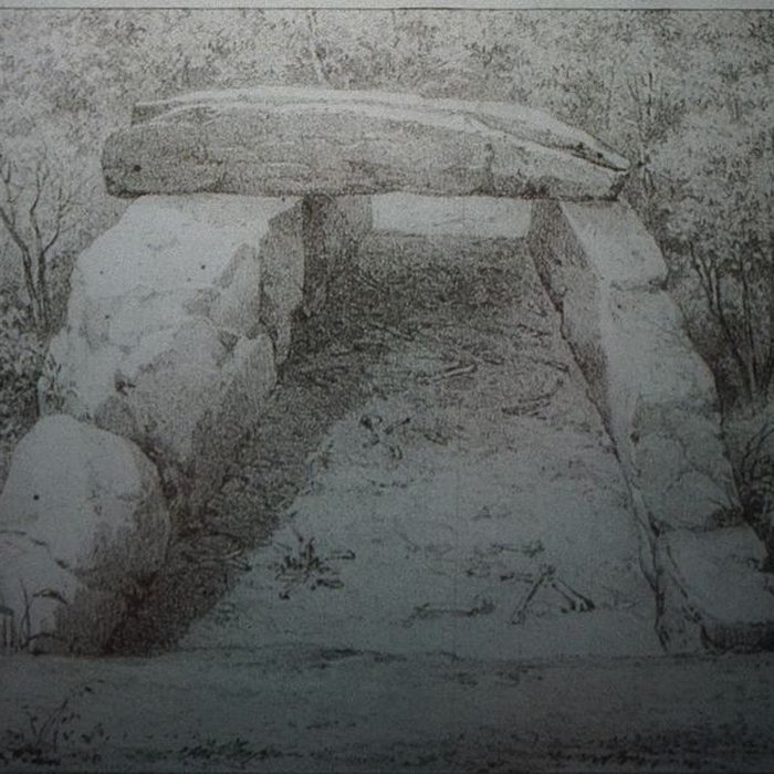 Photo de Dolmen des Grèves de Fraicul à Barbuise