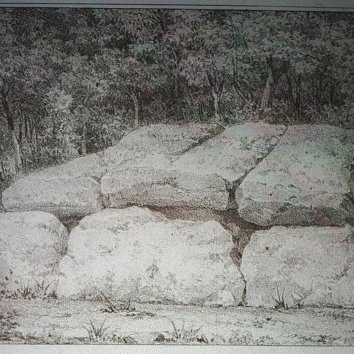 Photo de Dolmen des Grèves de Fraicul à Barbuise