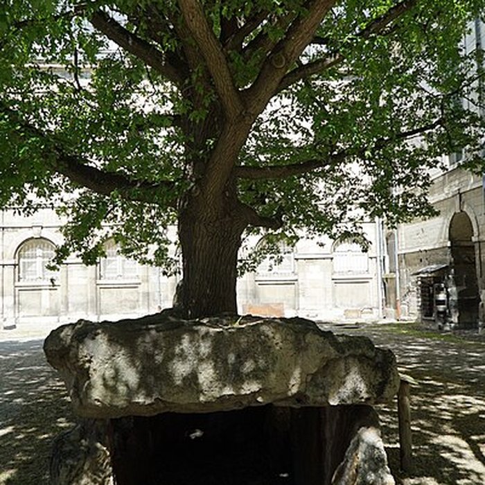 Photo de Dolmen des Grèves de Fraicul à Barbuise