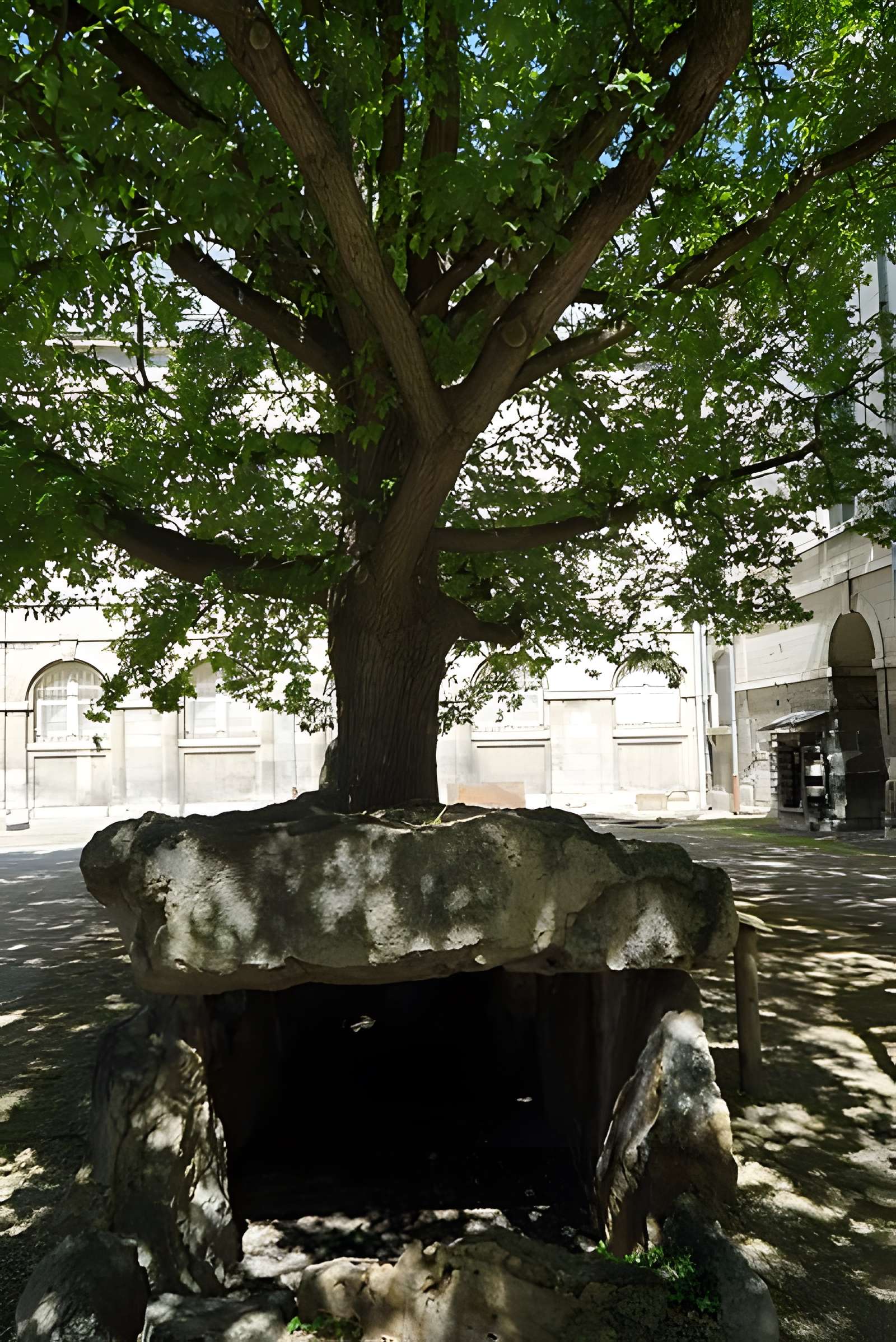 Dolmen des Grèves de Fraicul à Barbuise
