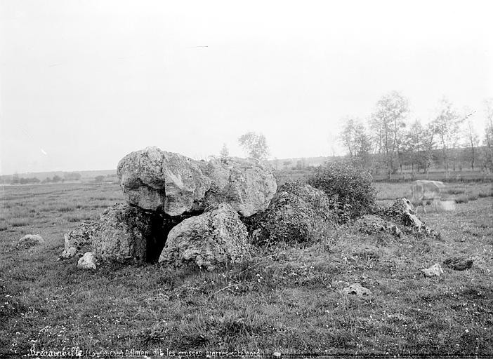 Photo de Dolmen des Grosses-Pierres à Brévainville