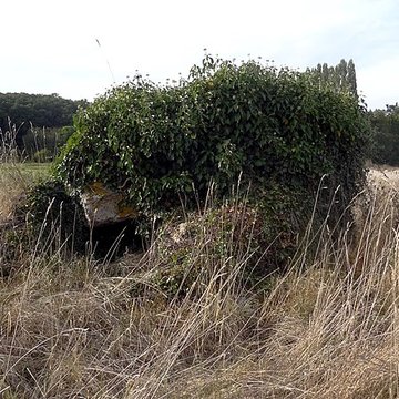 Dolmen des Grosses-Pierres à Brévainville
