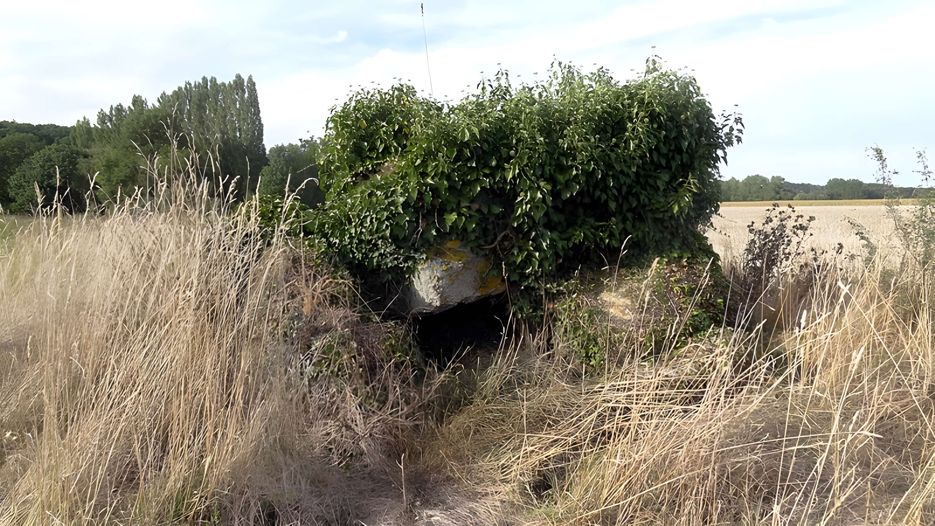Dolmen des Grosses-Pierres à Brévainville