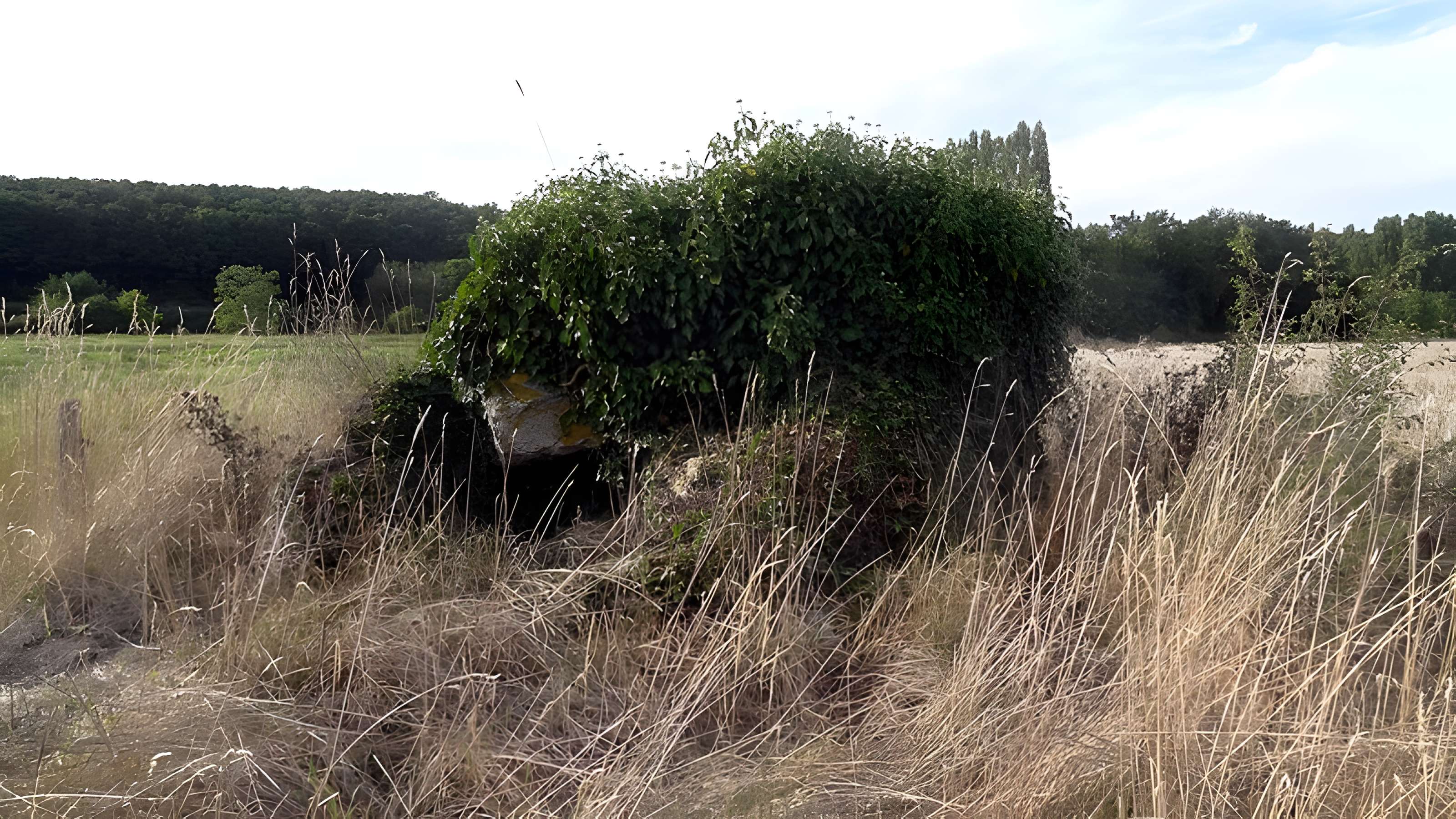 Dolmen des Grosses-Pierres à Brévainville