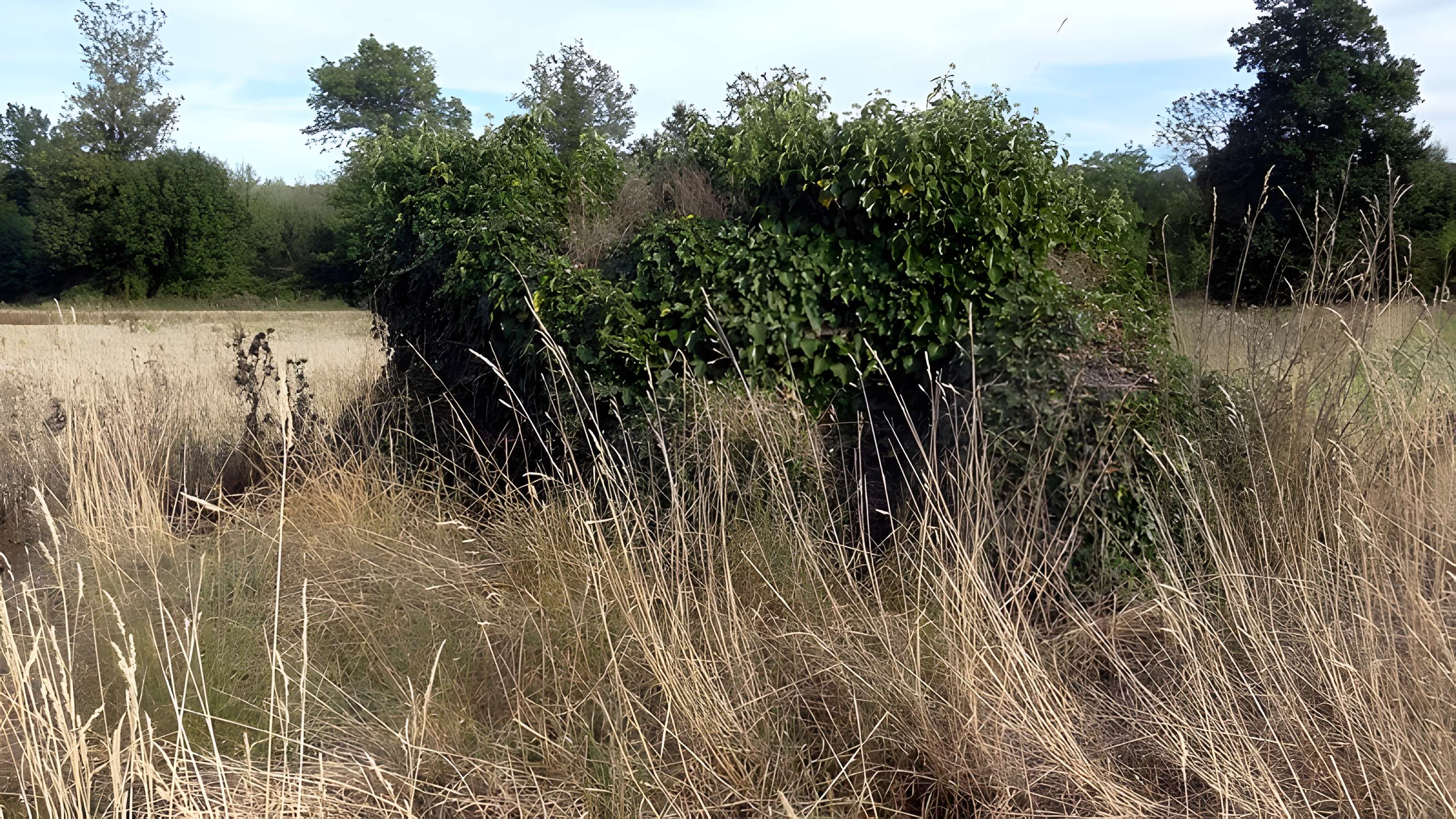 Dolmen des Grosses-Pierres à Brévainville