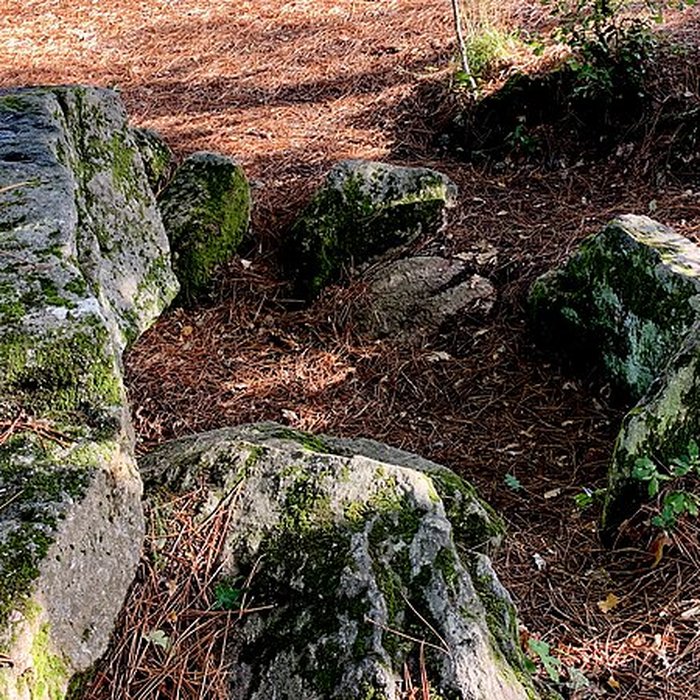 Photo de Dolmen des Rossignols à Saint-Brevin-les-Pins