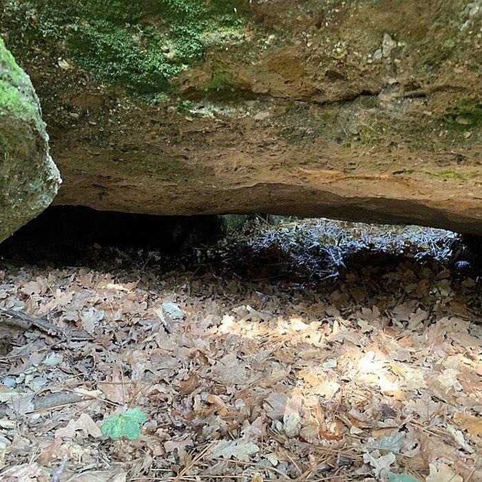 Photo de Dolmen des Rossignols à Saint-Brevin-les-Pins