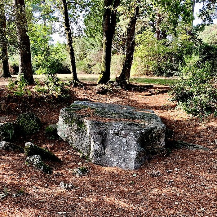 Photo de Dolmen des Rossignols à Saint-Brevin-les-Pins