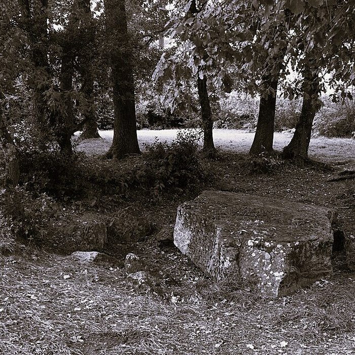 Photo de Dolmen des Rossignols à Saint-Brevin-les-Pins