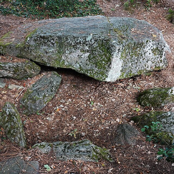 Photo de Dolmen des Rossignols à Saint-Brevin-les-Pins
