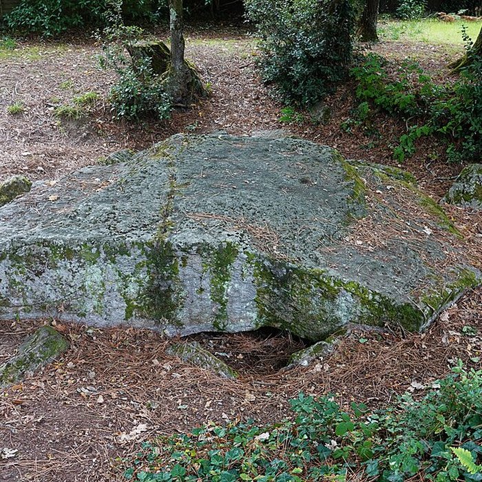 Photo de Dolmen des Rossignols à Saint-Brevin-les-Pins