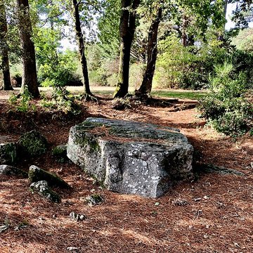 Dolmen des Rossignols à Saint-Brevin-les-Pins