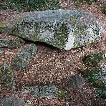 Dolmen des Rossignols à Saint-Brevin-les-Pins