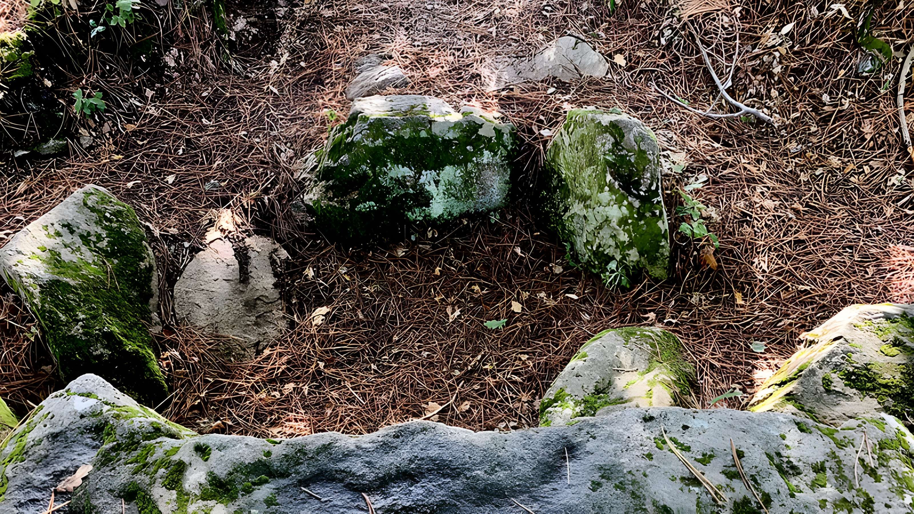 Dolmen des Rossignols à Saint-Brevin-les-Pins