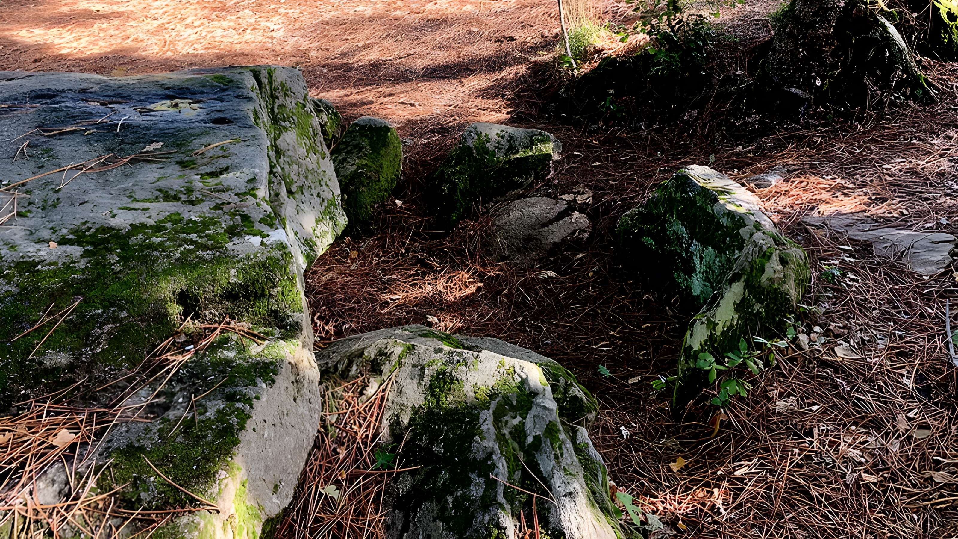 Dolmen des Rossignols à Saint-Brevin-les-Pins