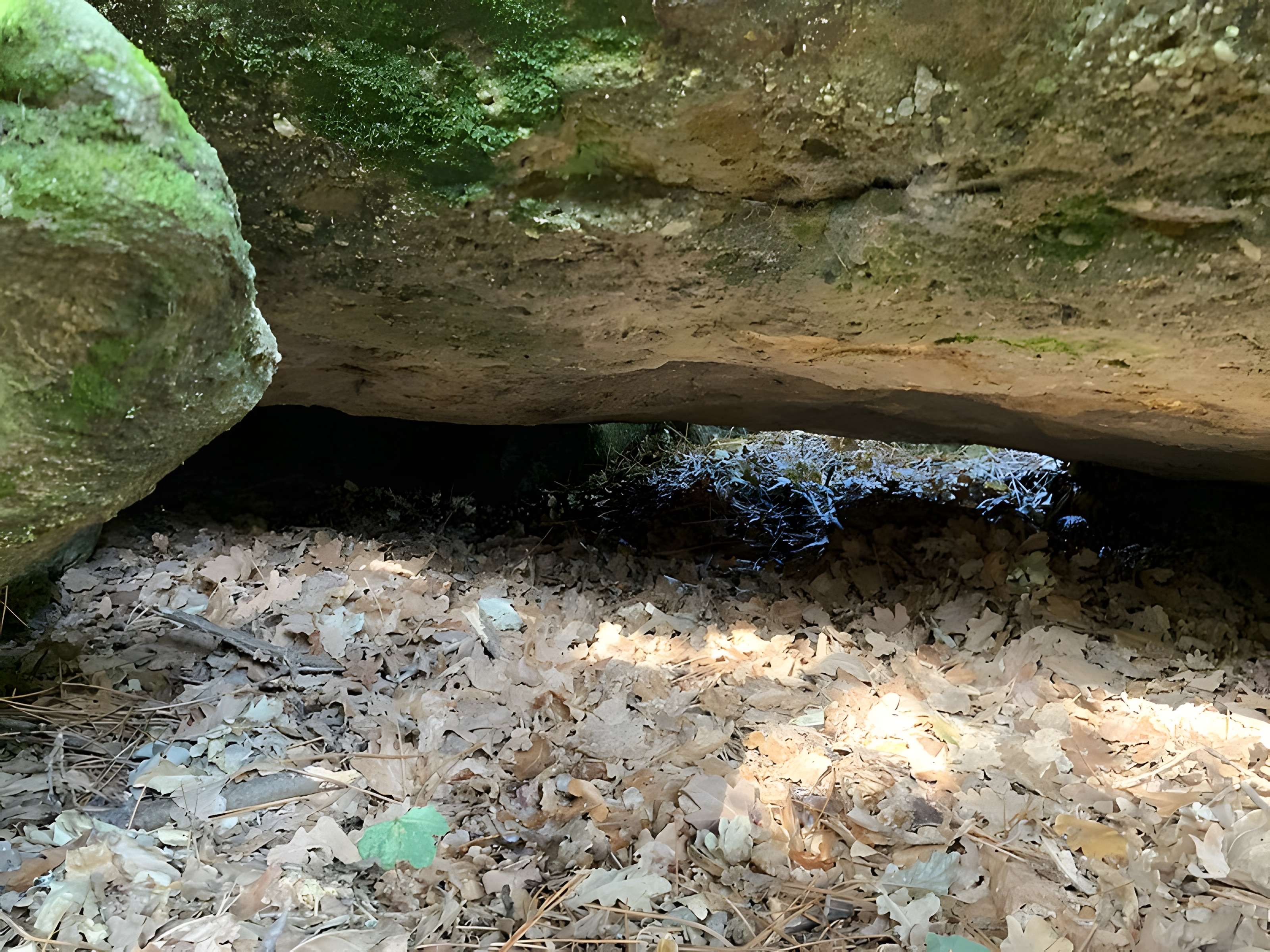 Dolmen des Rossignols à Saint-Brevin-les-Pins
