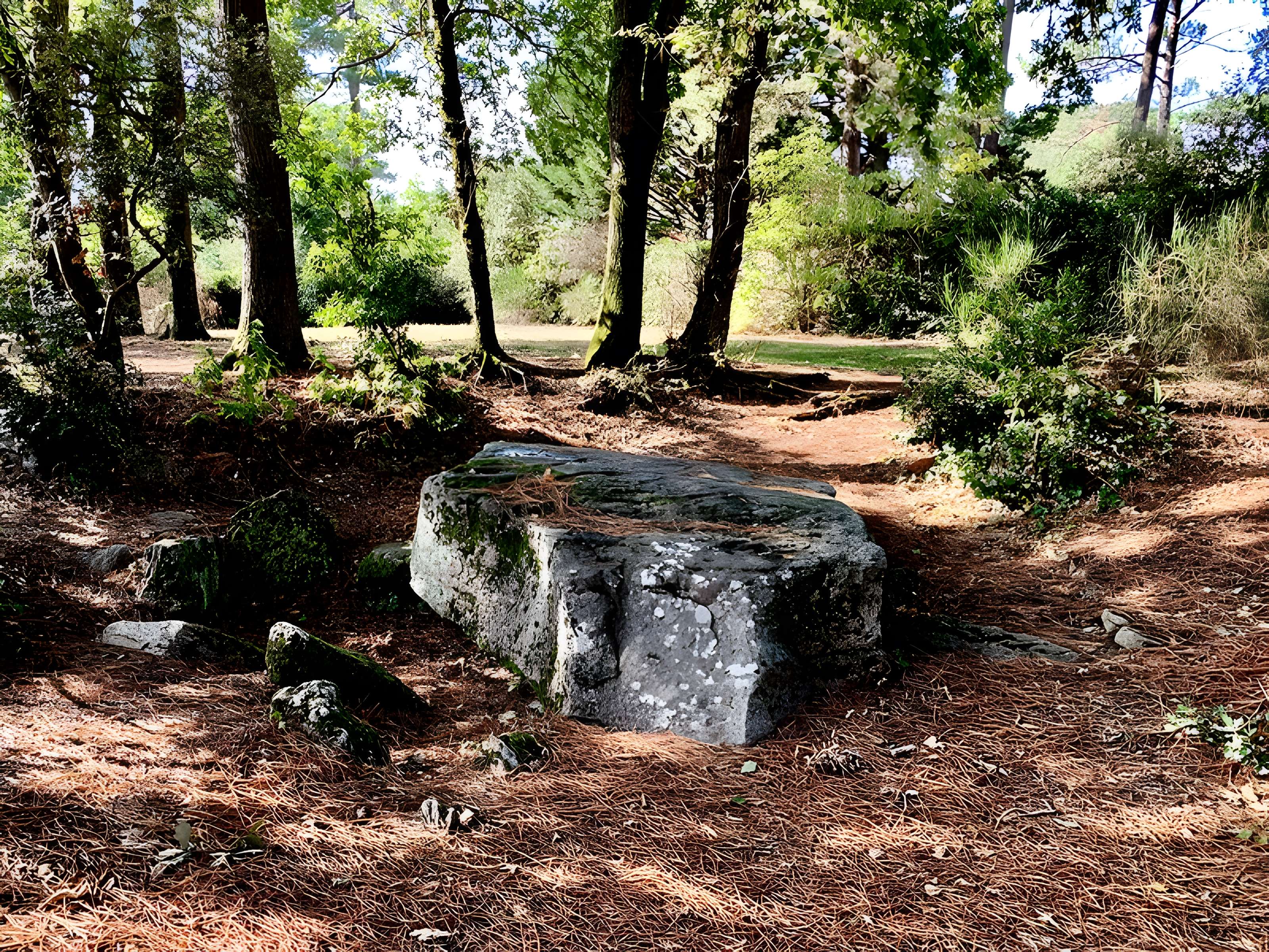 Dolmen des Rossignols à Saint-Brevin-les-Pins
