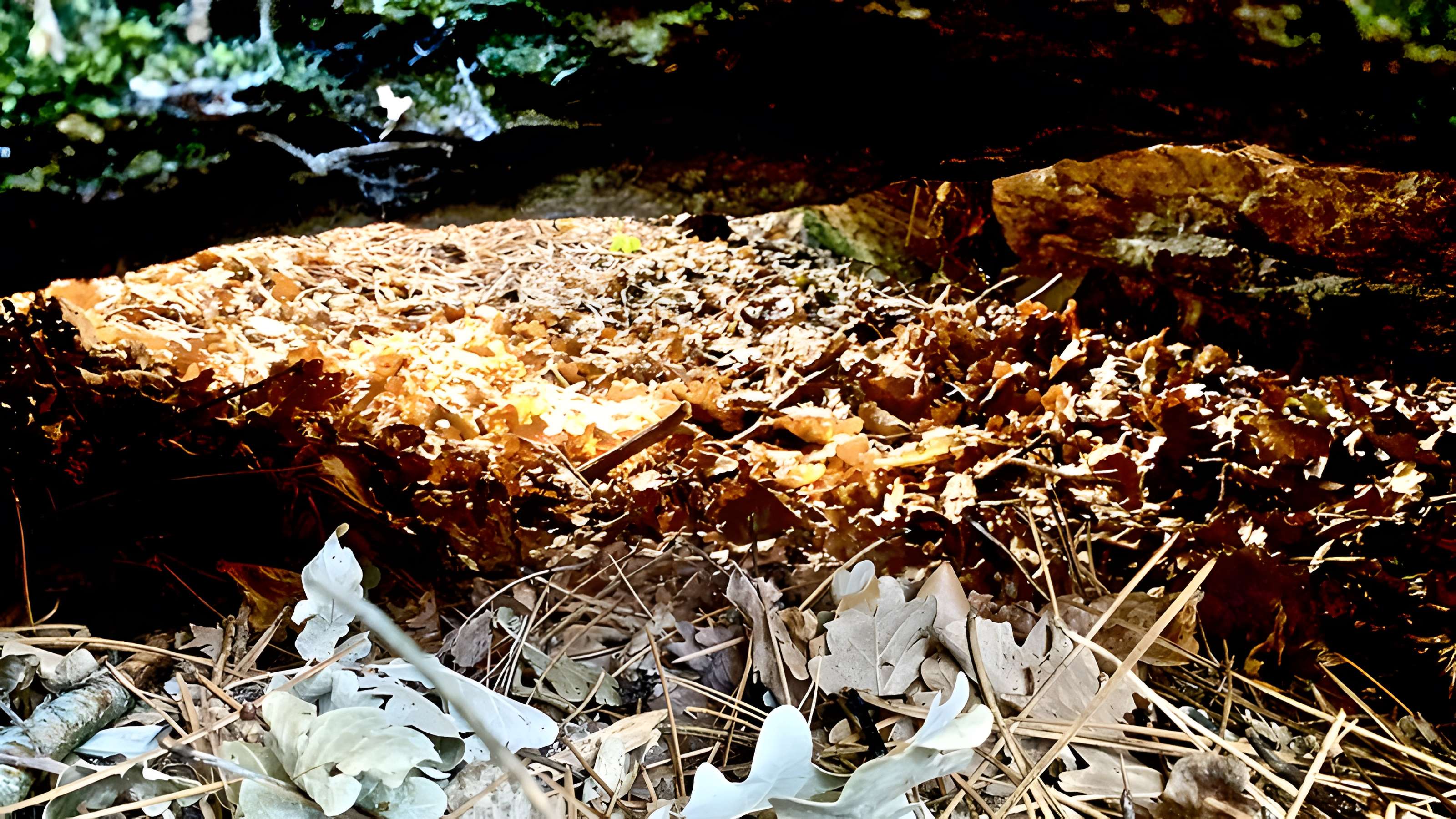 Dolmen des Rossignols à Saint-Brevin-les-Pins