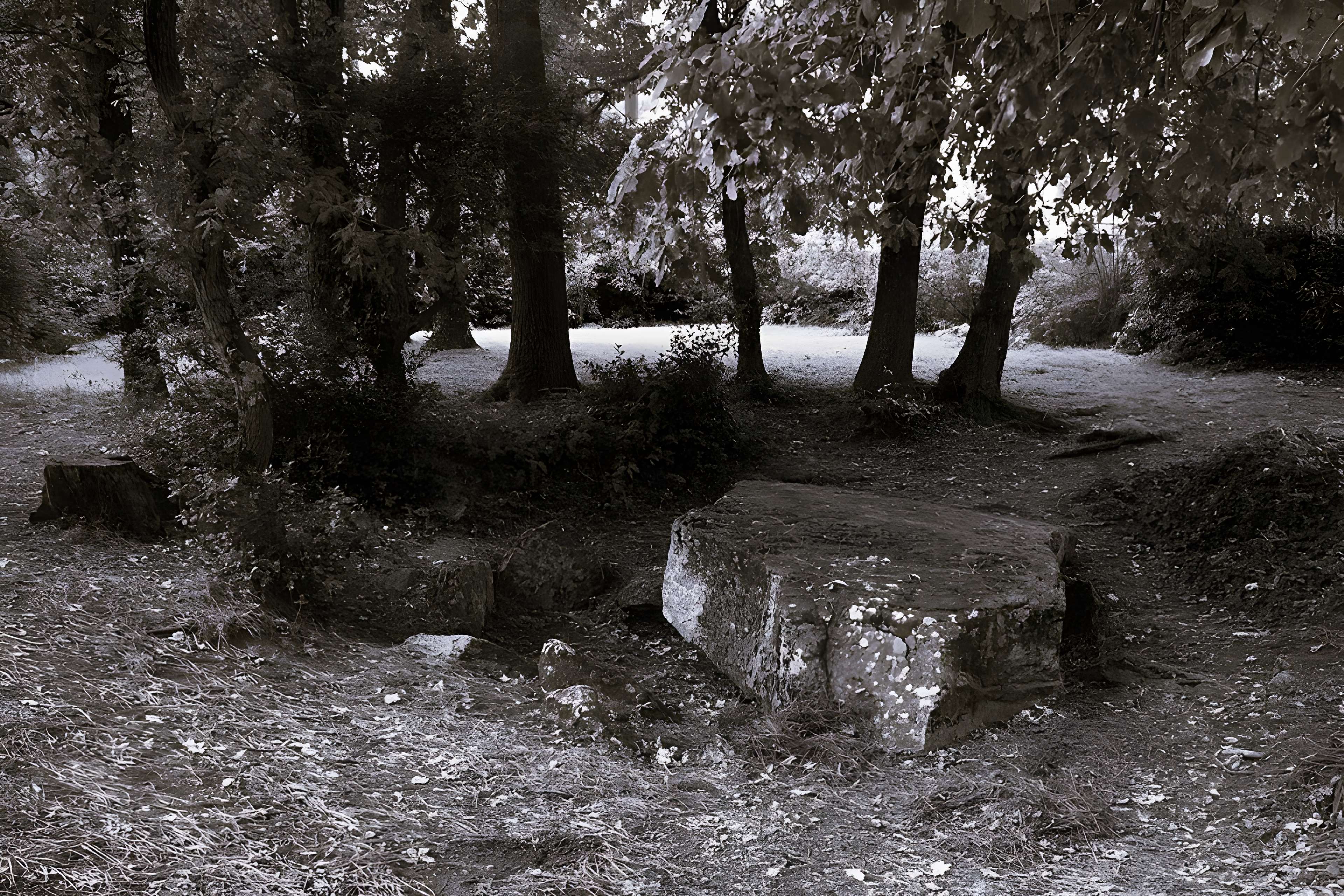 Dolmen des Rossignols à Saint-Brevin-les-Pins