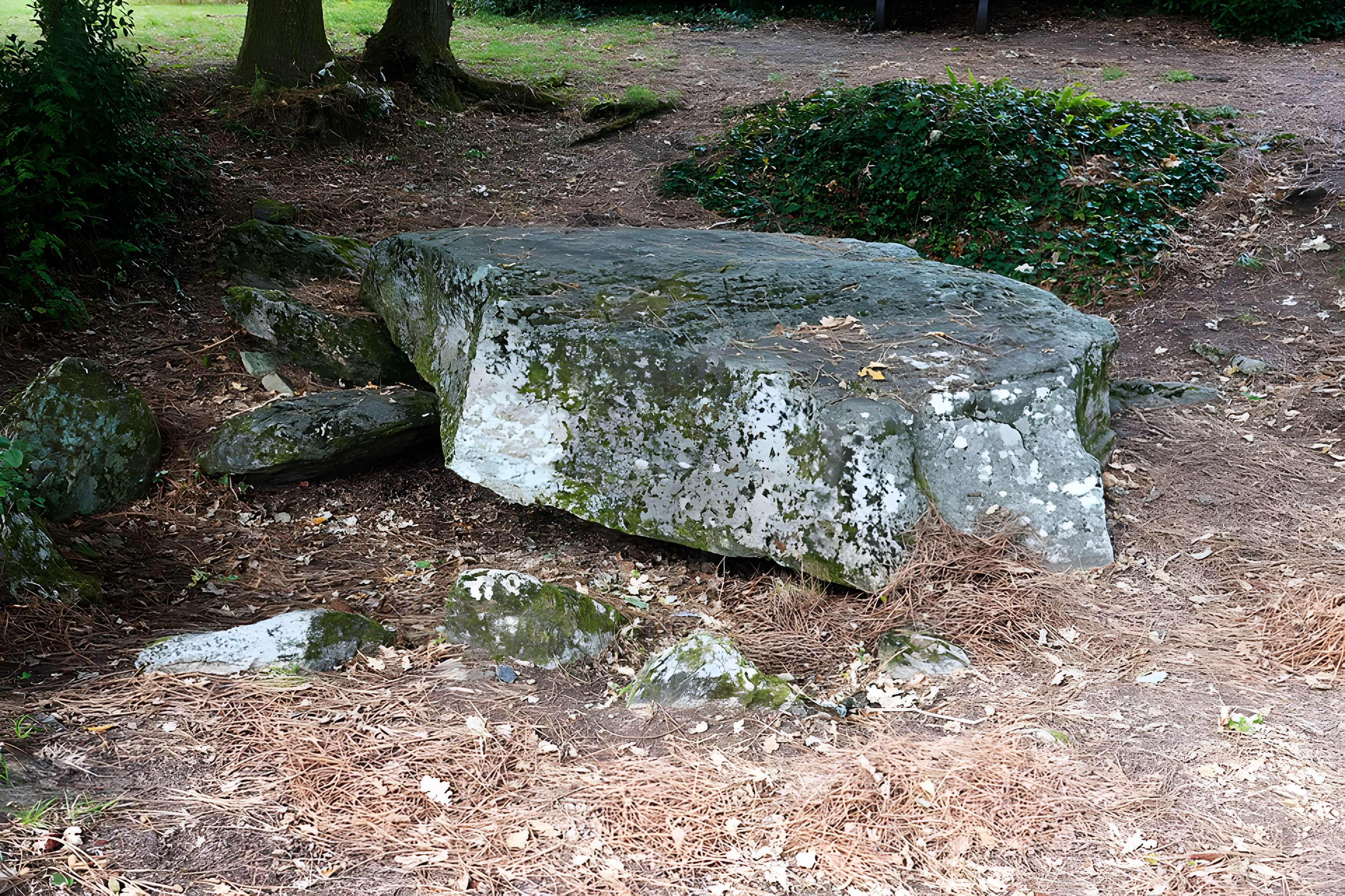 Dolmen des Rossignols à Saint-Brevin-les-Pins