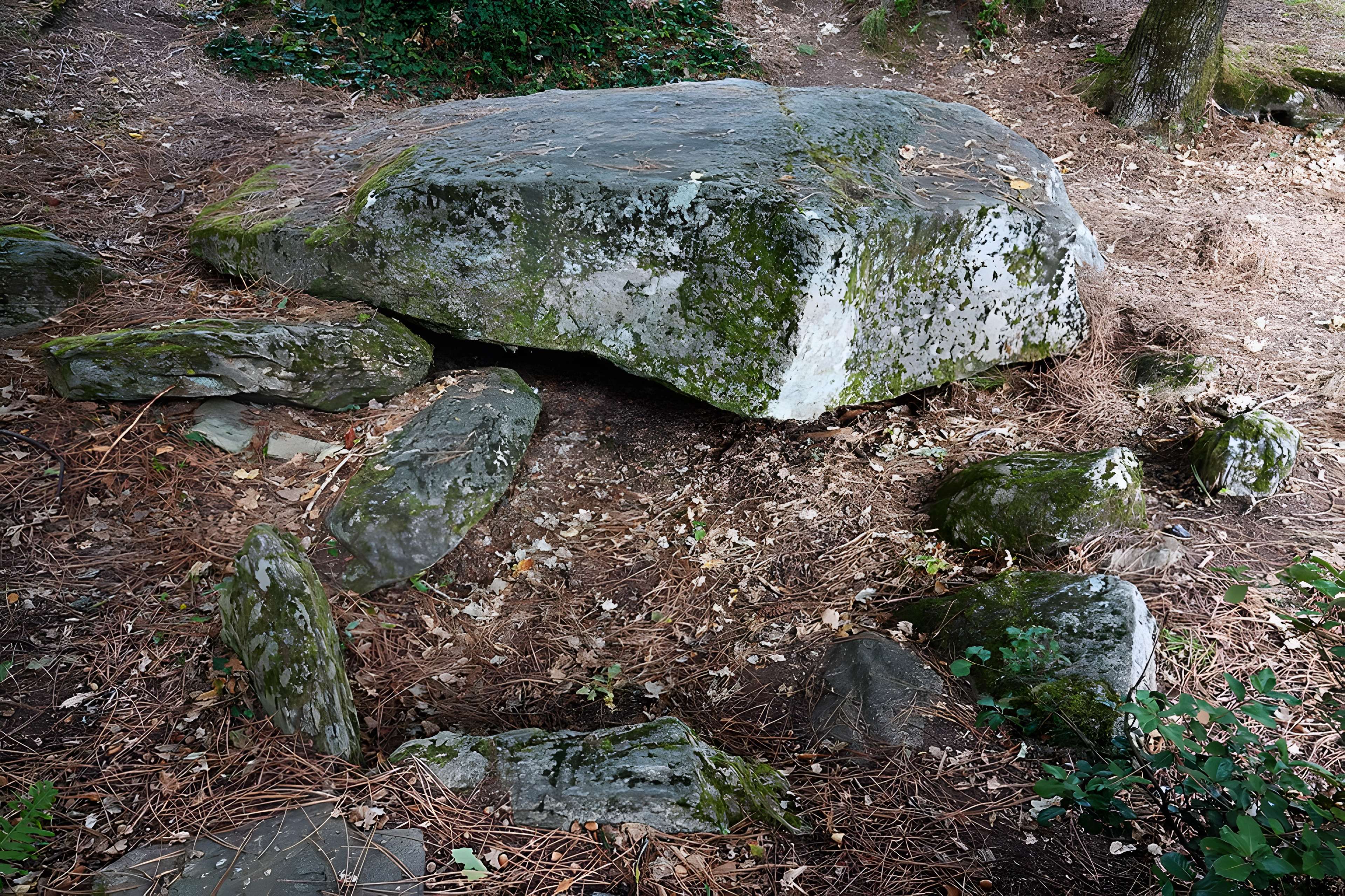 Dolmen des Rossignols à Saint-Brevin-les-Pins