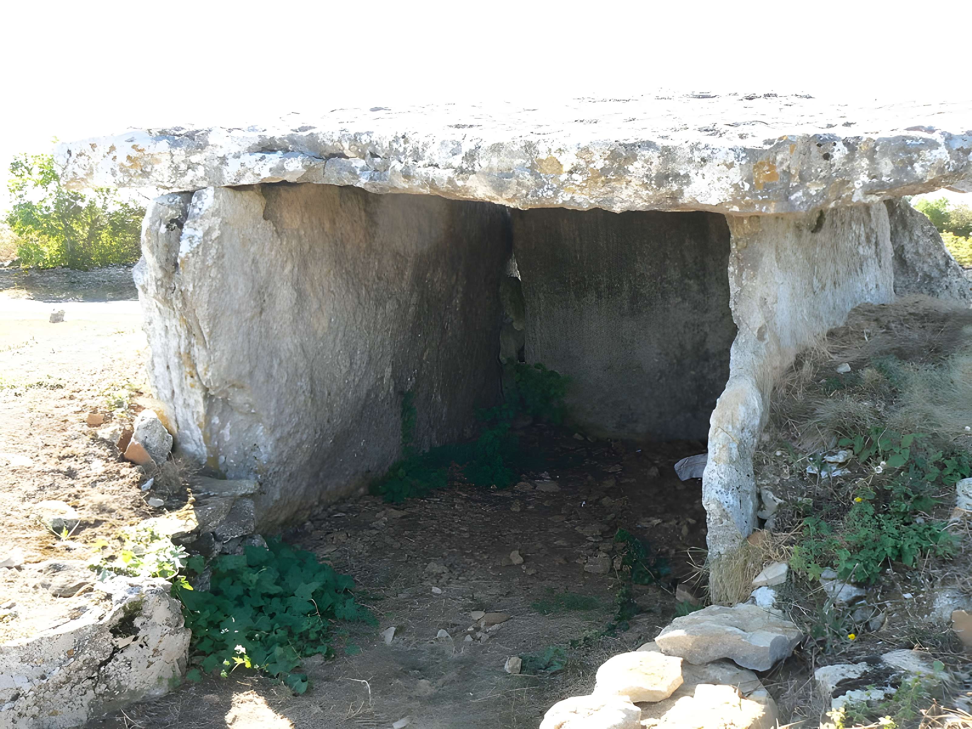 Dolmen des Sept Chemins à Bougon 