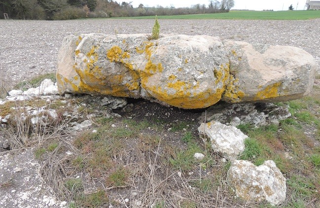 Photo de Dolmen des Tatonneries à Nourray
