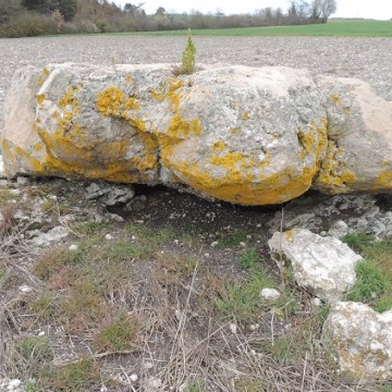 dolmen des tatonneries a nourray