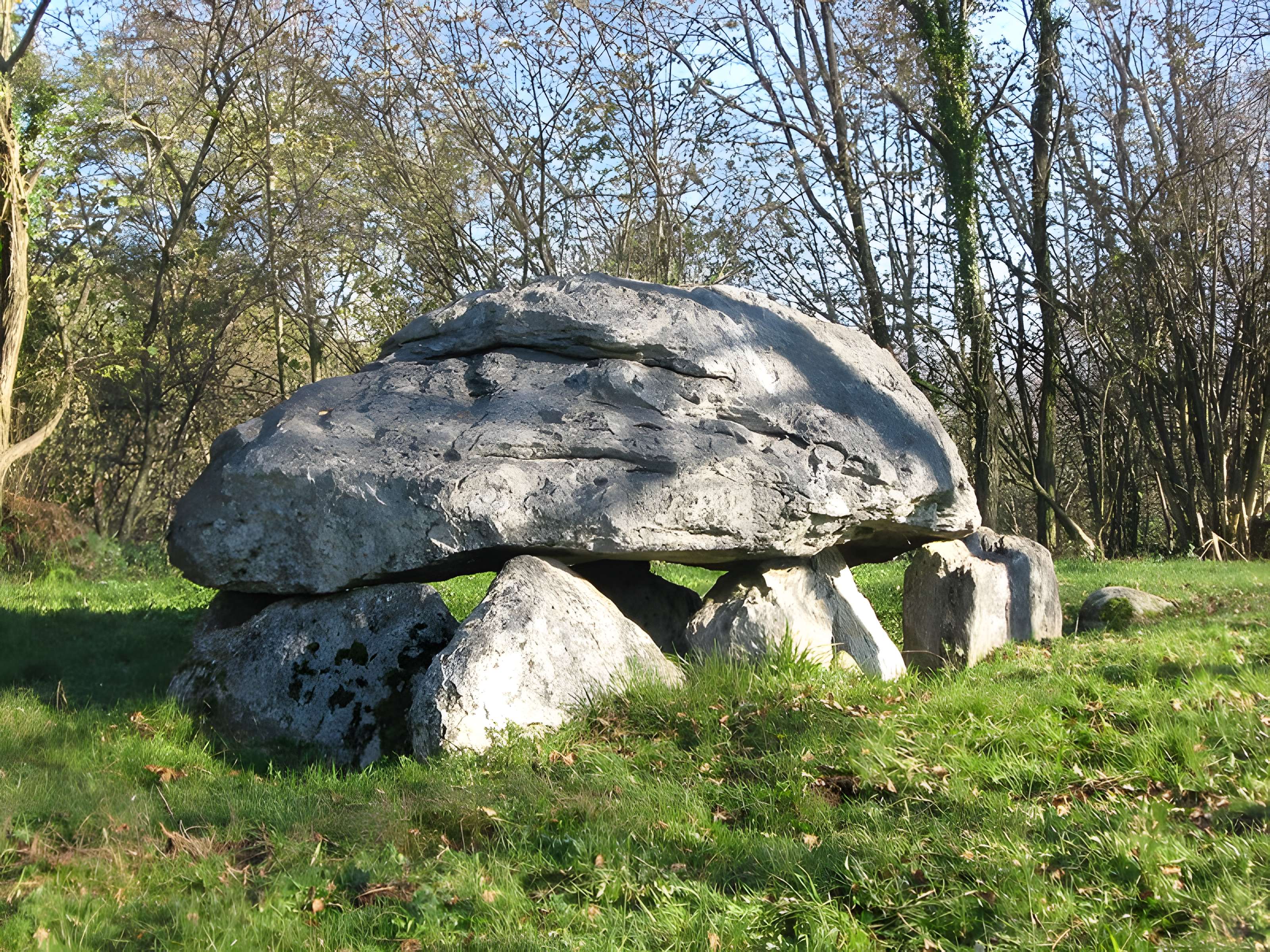 Dolmen dit Calhau-de-Teberno à Buzy 
