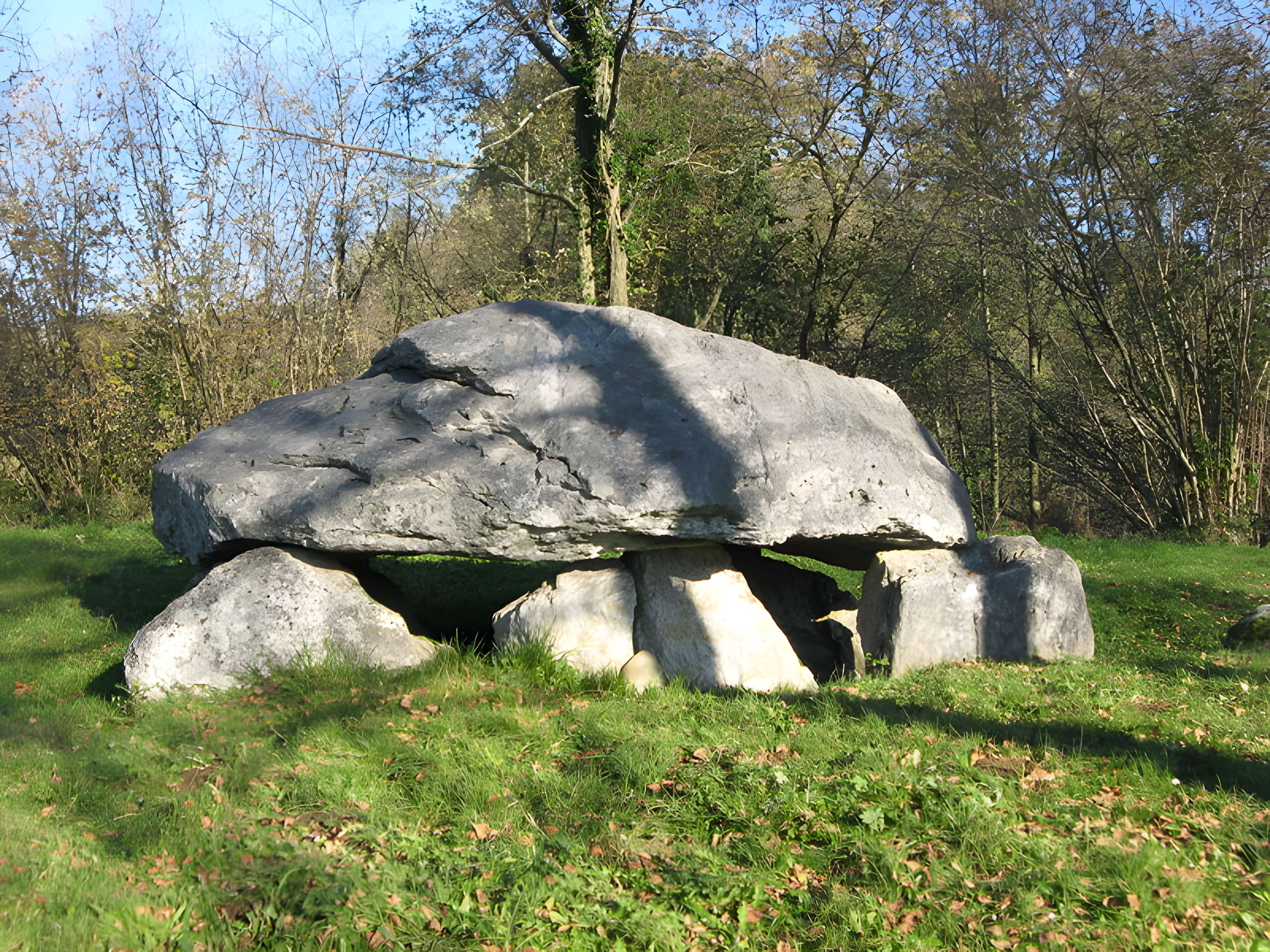Dolmen dit Calhau-de-Teberno à Buzy