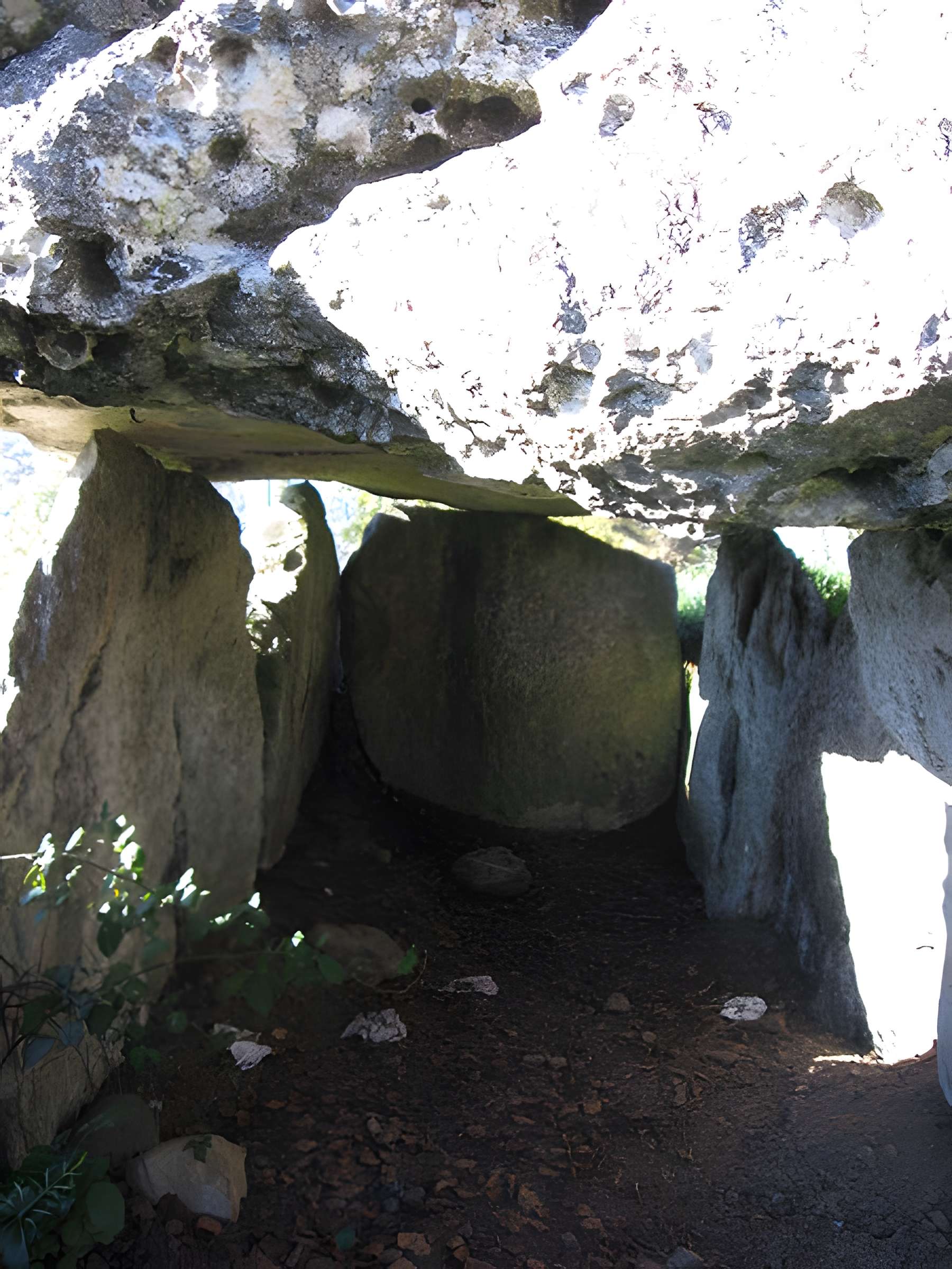 Dolmen dit Calhau-de-Teberno à Buzy