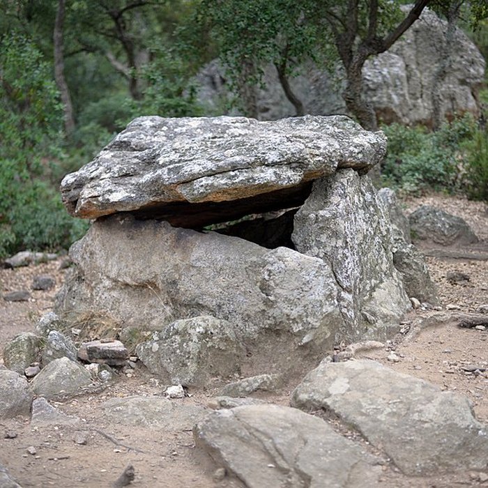Photo de Dolmen dit Cava de lAlarb à Argelès-sur-Mer
