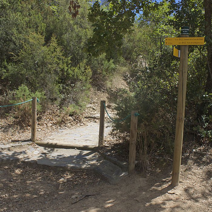 Photo de Dolmen dit Cava de lAlarb à Argelès-sur-Mer