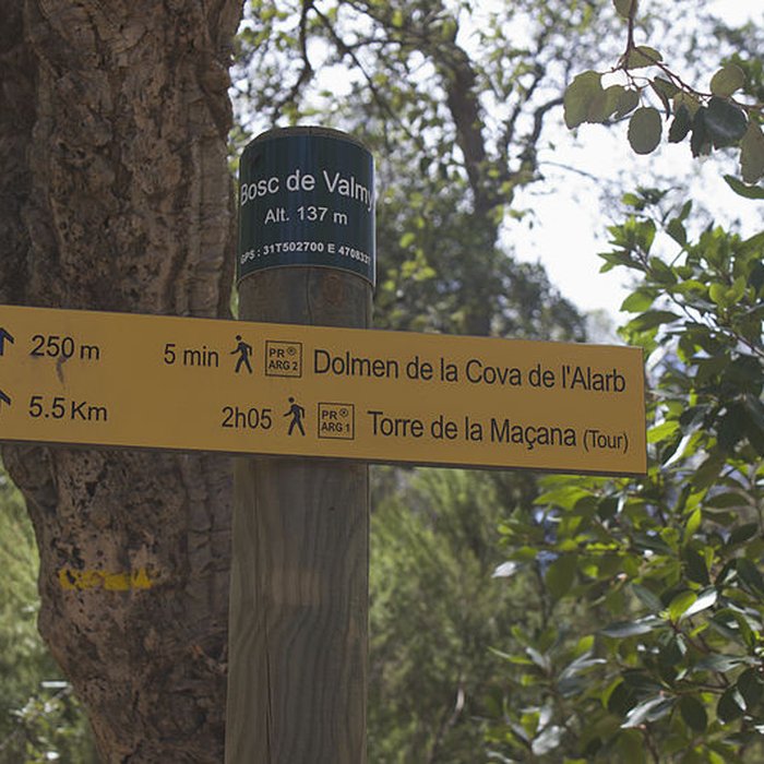 Photo de Dolmen dit Cava de lAlarb à Argelès-sur-Mer
