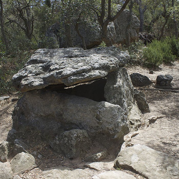 Photo de Dolmen dit Cava de lAlarb à Argelès-sur-Mer