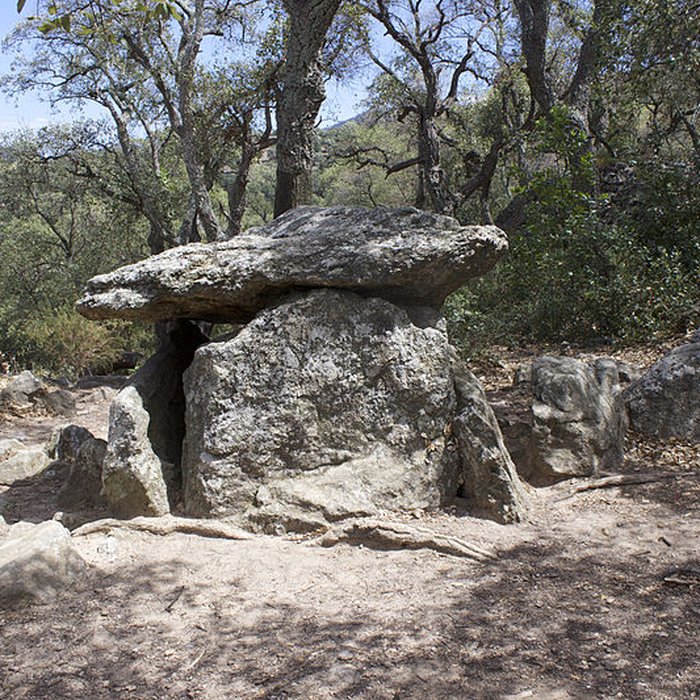 Photo de Dolmen dit Cava de lAlarb à Argelès-sur-Mer