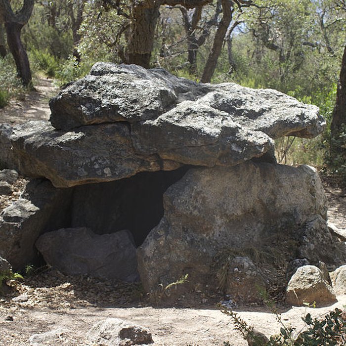 Photo de Dolmen dit Cava de lAlarb à Argelès-sur-Mer