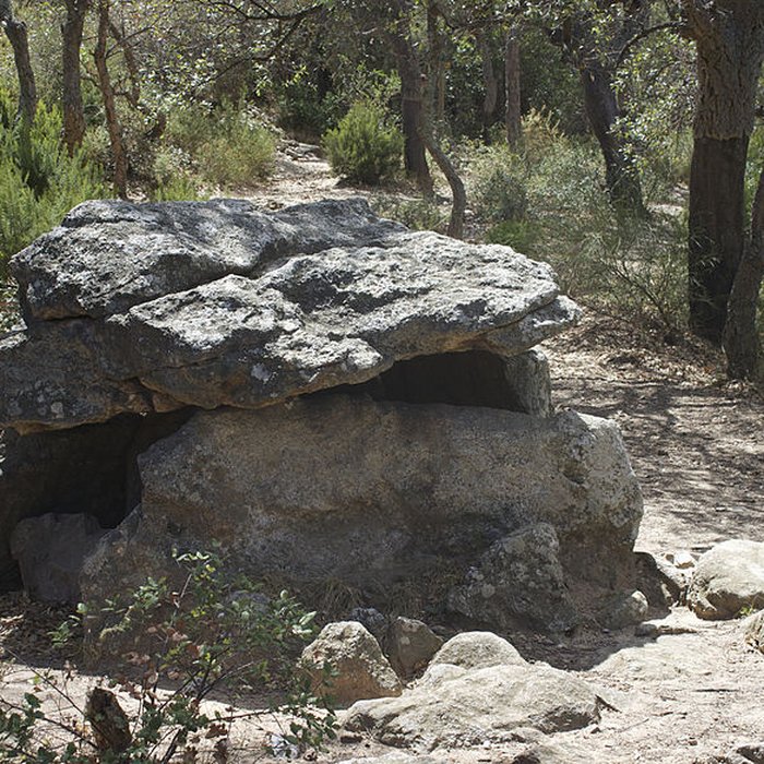 Photo de Dolmen dit Cava de lAlarb à Argelès-sur-Mer