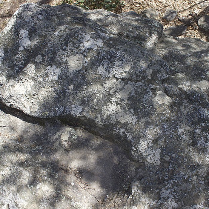 Photo de Dolmen dit Cava de lAlarb à Argelès-sur-Mer