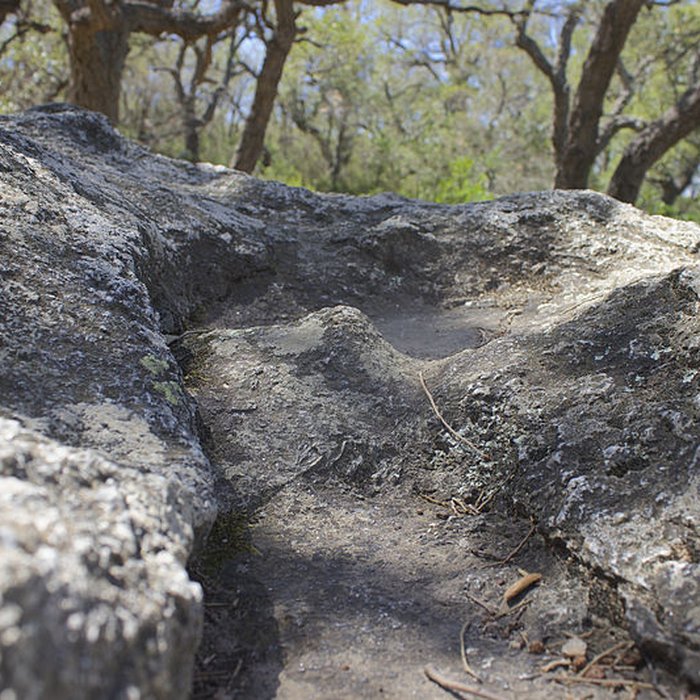 Photo de Dolmen dit Cava de lAlarb à Argelès-sur-Mer