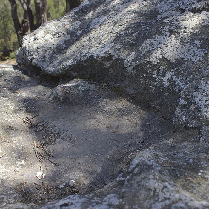 Photo de Dolmen dit Cava de lAlarb à Argelès-sur-Mer