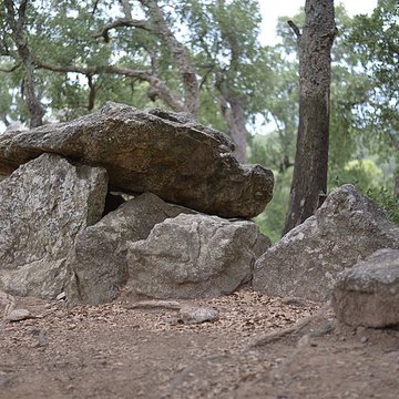 Dolmen dit Cava de lAlarb à Argelès-sur-Mer