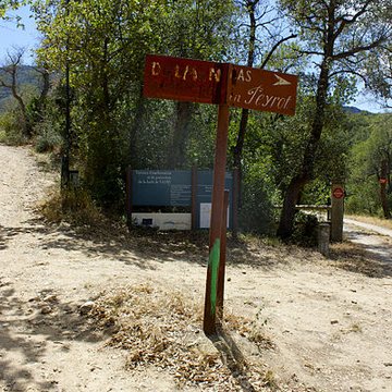 Dolmen dit Cava de lAlarb à Argelès-sur-Mer